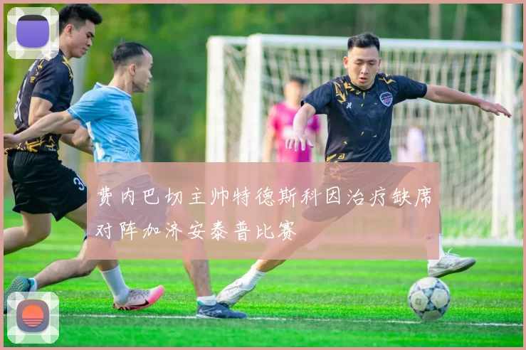 费内巴切主帅特德斯科因治疗缺席对阵加济安泰普比赛